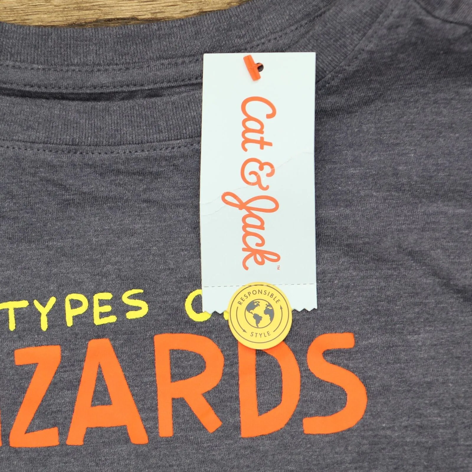 Cat & Jack Boys' Lizard Short Sleeve Graphic T-Shirt