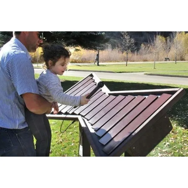 Freenotes Harmony Park Cadence (Outdoor Music Instruments)