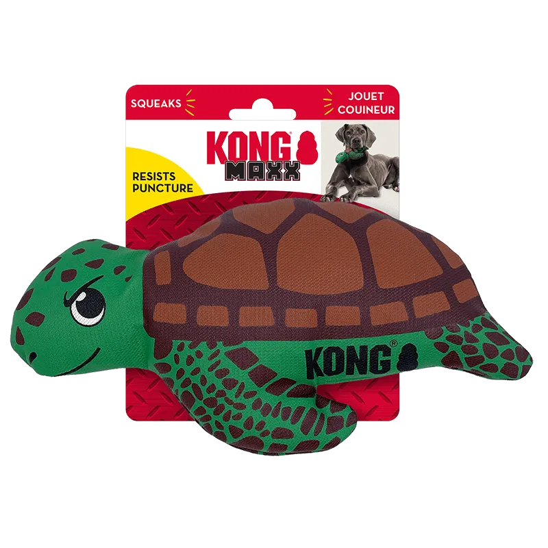 Kong Maxx Turtle