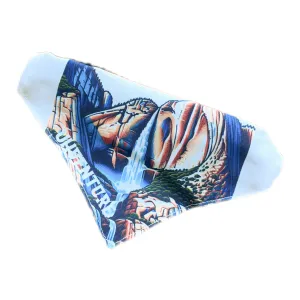 Only Falls Pet Bandanas