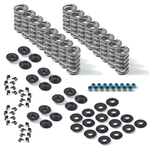 VCM LS, MANLEY, DUAL VALVE SPRING, KIT 26362134KS
